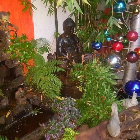 Hotel Mi Aldea Holistica Meksyk Zewnętrze zdjęcie