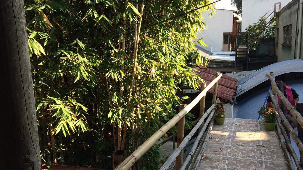 Hotel Mi Aldea Holistica Meksyk Zewnętrze zdjęcie