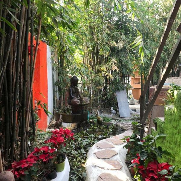 Hotel Mi Aldea Holistica Meksyk Zewnętrze zdjęcie