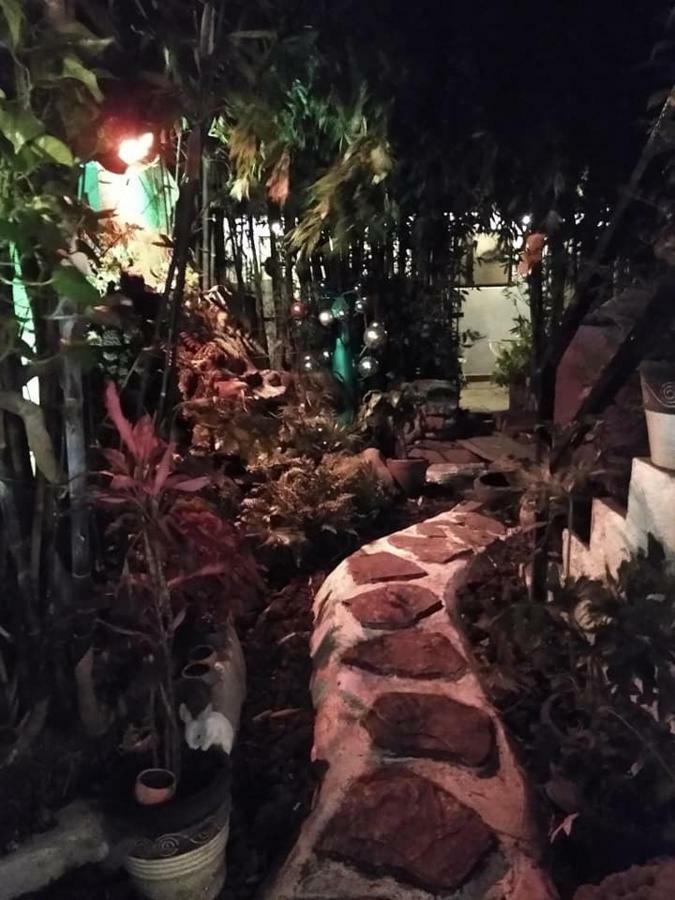 Hotel Mi Aldea Holistica Meksyk Zewnętrze zdjęcie